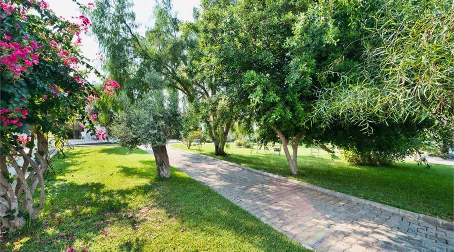Bare Hill Holiday Apartments Krini Exterior photo